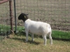 IMG 7819